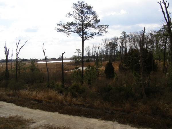 DE - Protected Wetlands