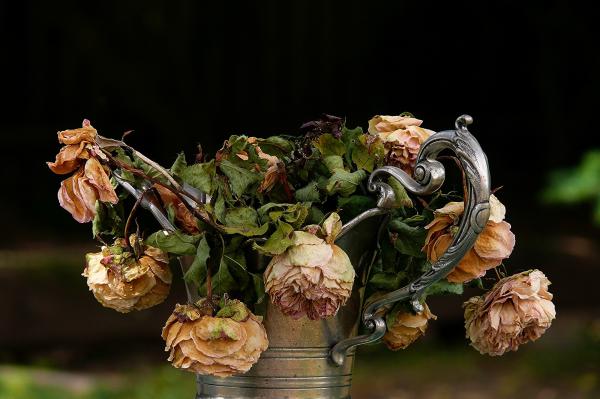 Dead flower