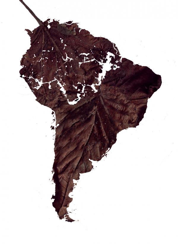 Dead Leaf