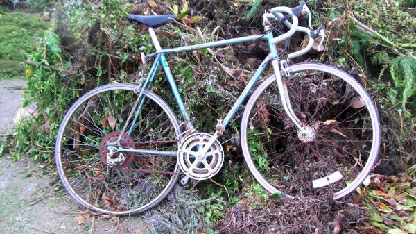 Decayed Morrison Blue Ten Speed Bike