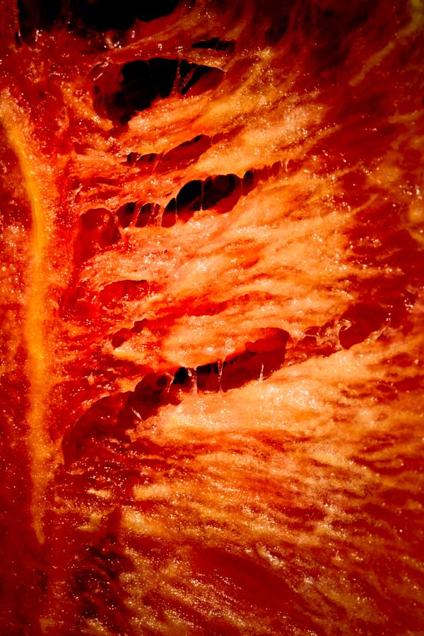 Decaying Flesh