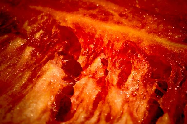 Decaying Flesh