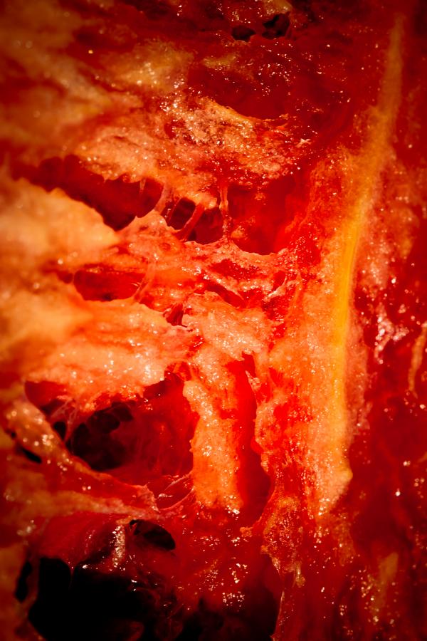 Decaying Flesh