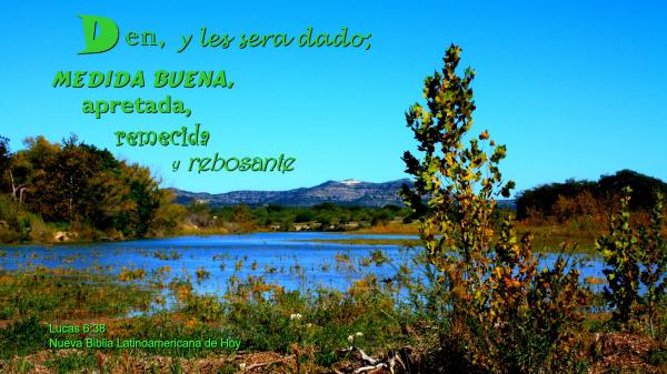 Den y Les Sera Dado
