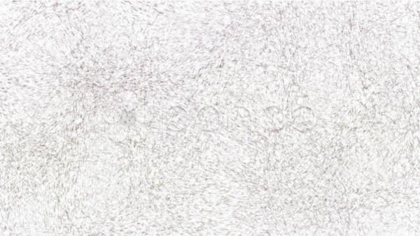 Dense Sketch Texture
