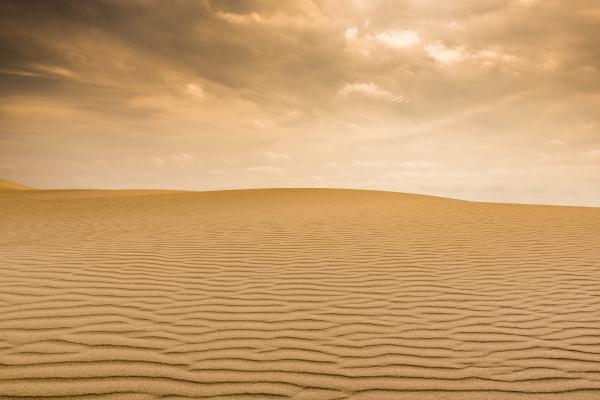 Desert
