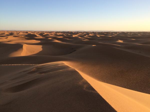 Desert