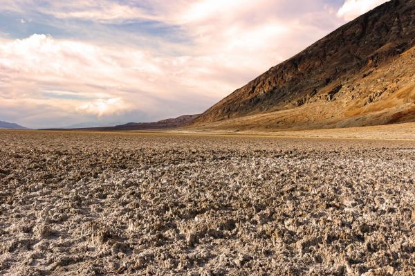 desert ground