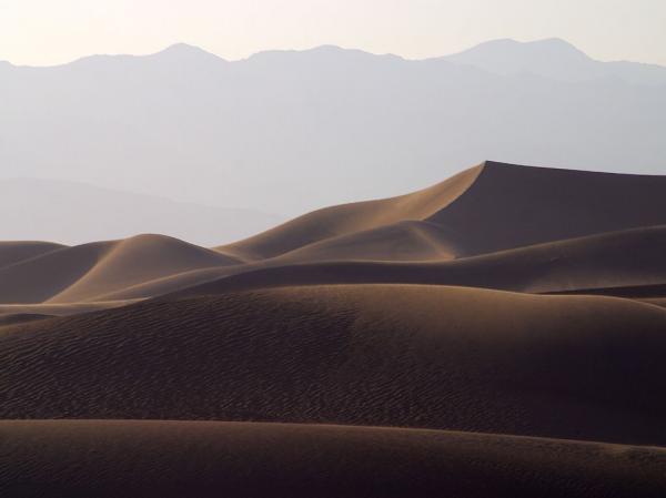 Desert Landscape