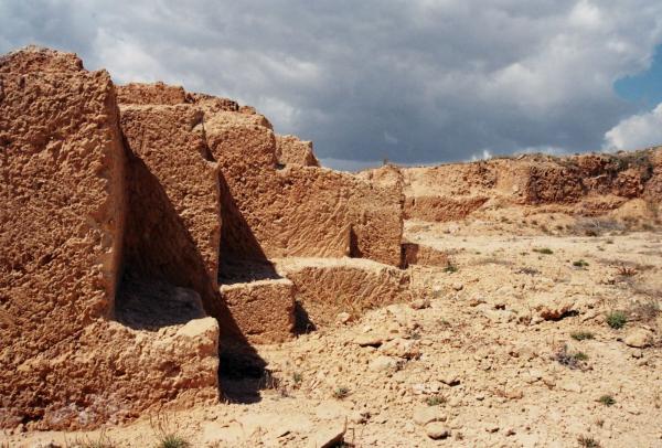 Desert landscape