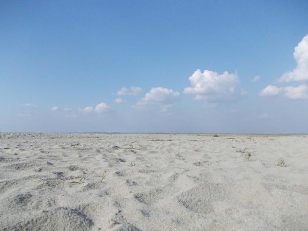 Desert Scenery