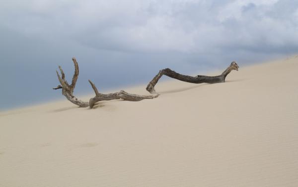 Deserted