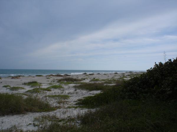 Deserted Beach