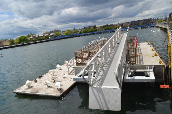 Destructed Dock