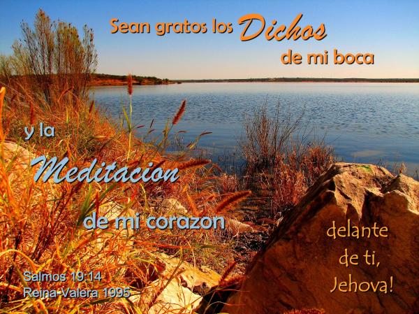 Dichos y Meditacion