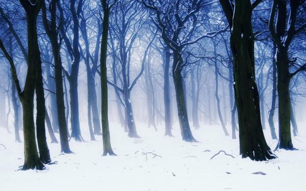 Digital winter