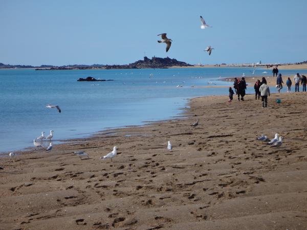 Dinard, grande marée