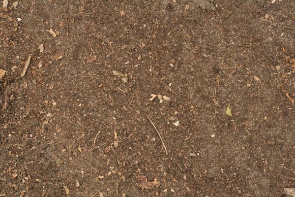 Dirt Texture