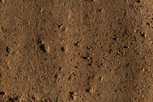 Dirt Texture