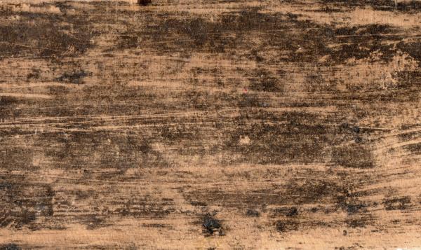 Wooden Texture