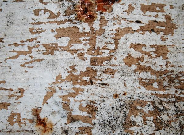 Dirty Grunge Wood