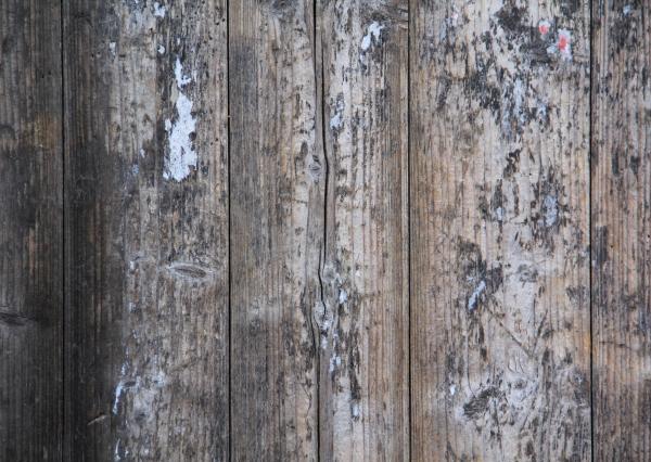 Grunge Wood Texture