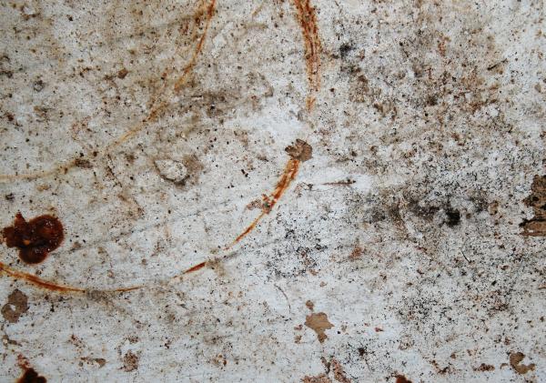 Dirty Grunge Wood