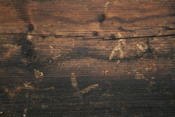 Old Wood