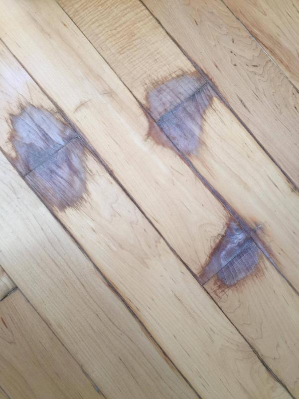 Discoloured wood