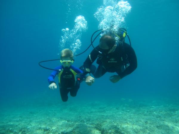 Diving Under the Sea