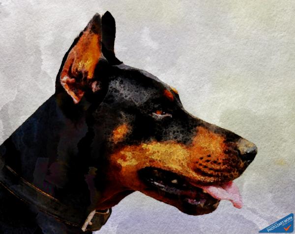 Doberman - ID: 16235-220506-9288
