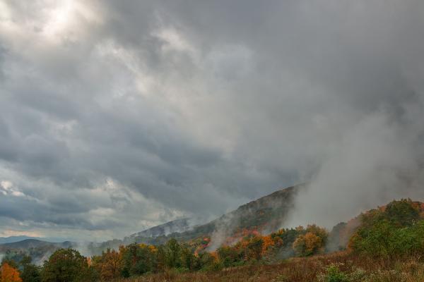 Dolly Sods Mountain Fog - HDR