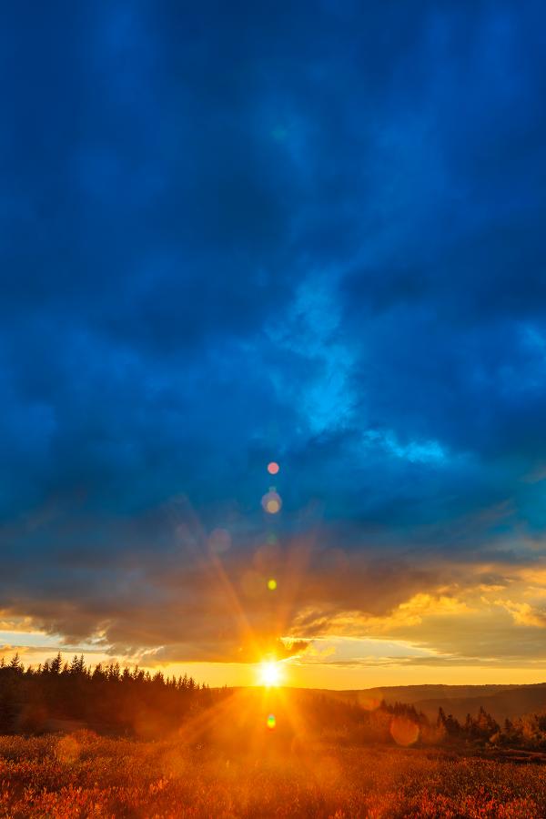 Dolly Sods Sunset - Between Heaven & Earth HDR