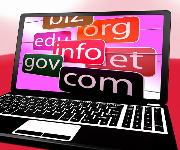 Domains On Laptop Shows Web Searching