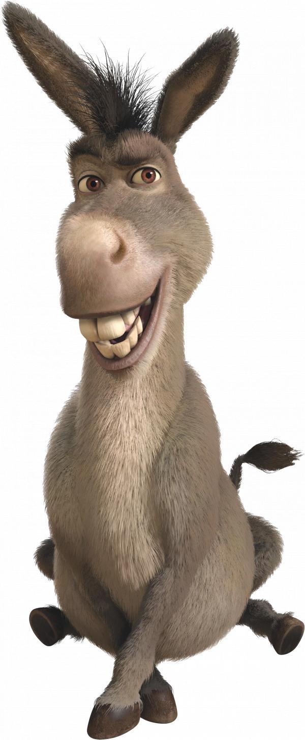 Donkey