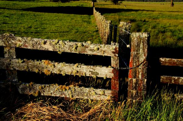 Down a country road.