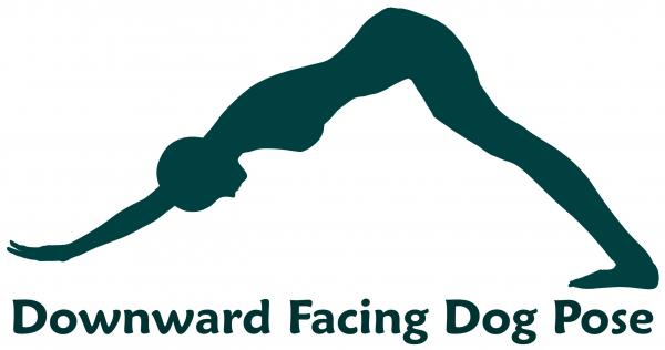 Downward Facing Dog Pose