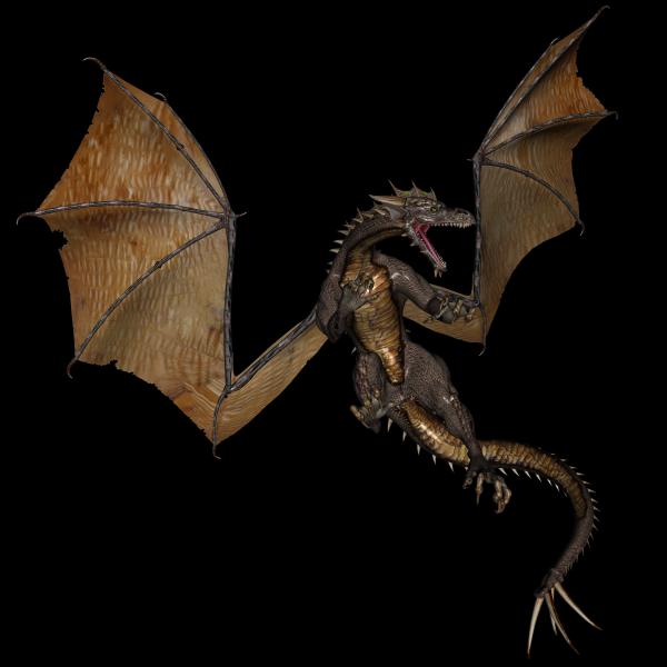 Dragon 1