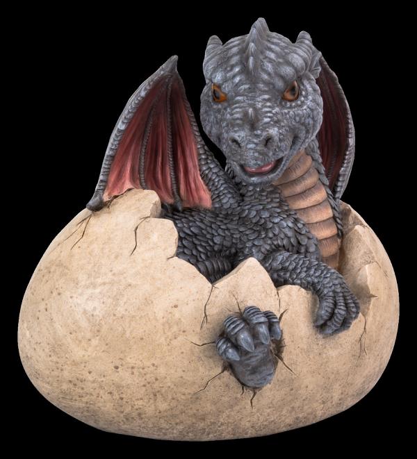 Dragon Egg