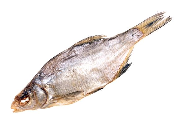 dried fish