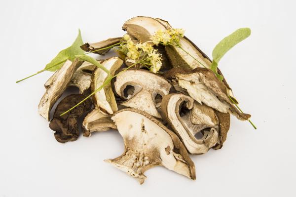 Dried Mushrooms