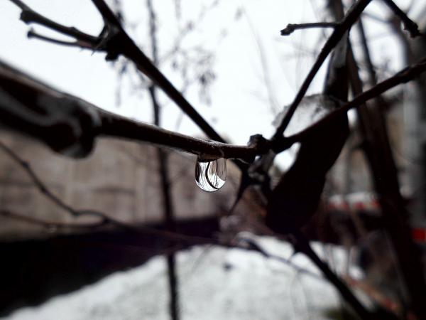 Drop in the snow