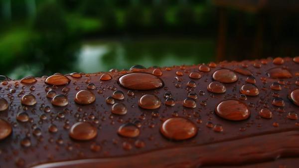 Droplets on wood