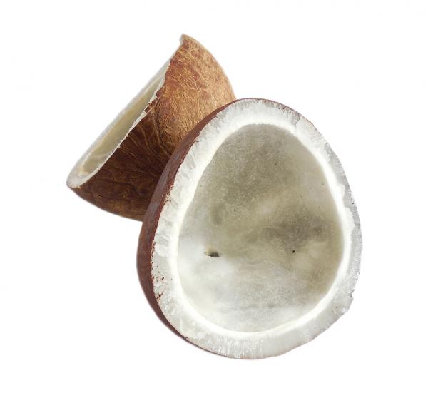 Dry Coconut
