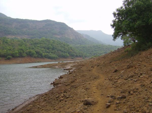 Dry landscape
