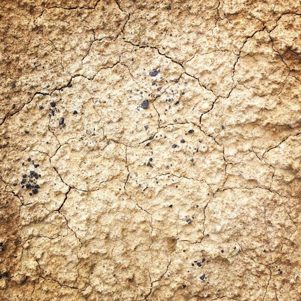 Wall texture