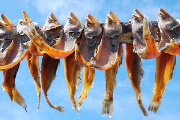 Drying Fish