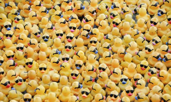 Rubber Ducks