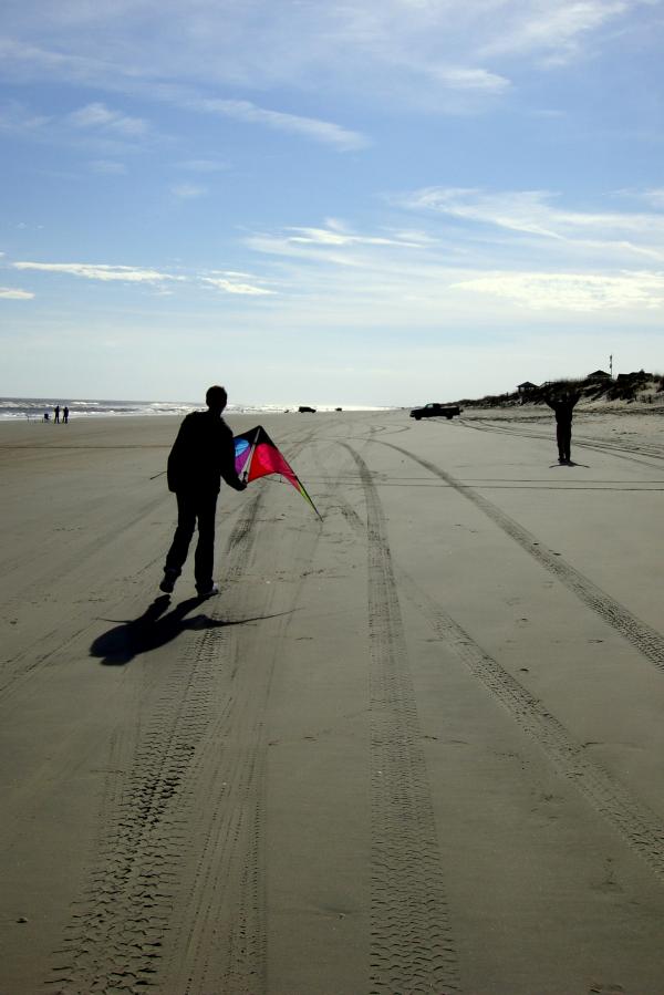 Duck - Kite Flying