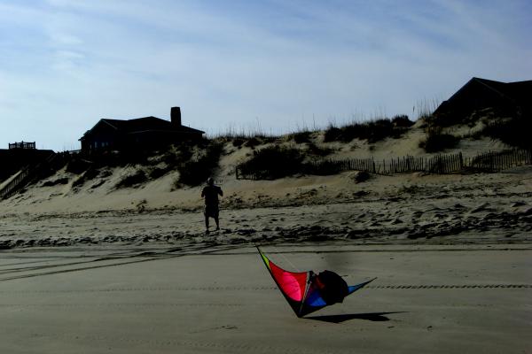 Duck - Kite Flying